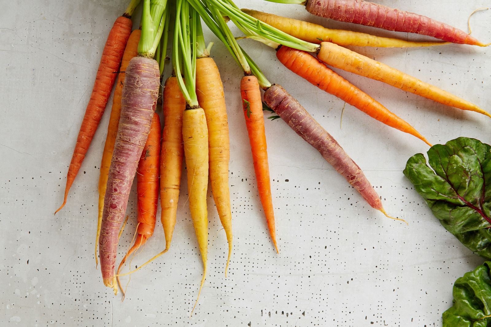 different coloured carrots