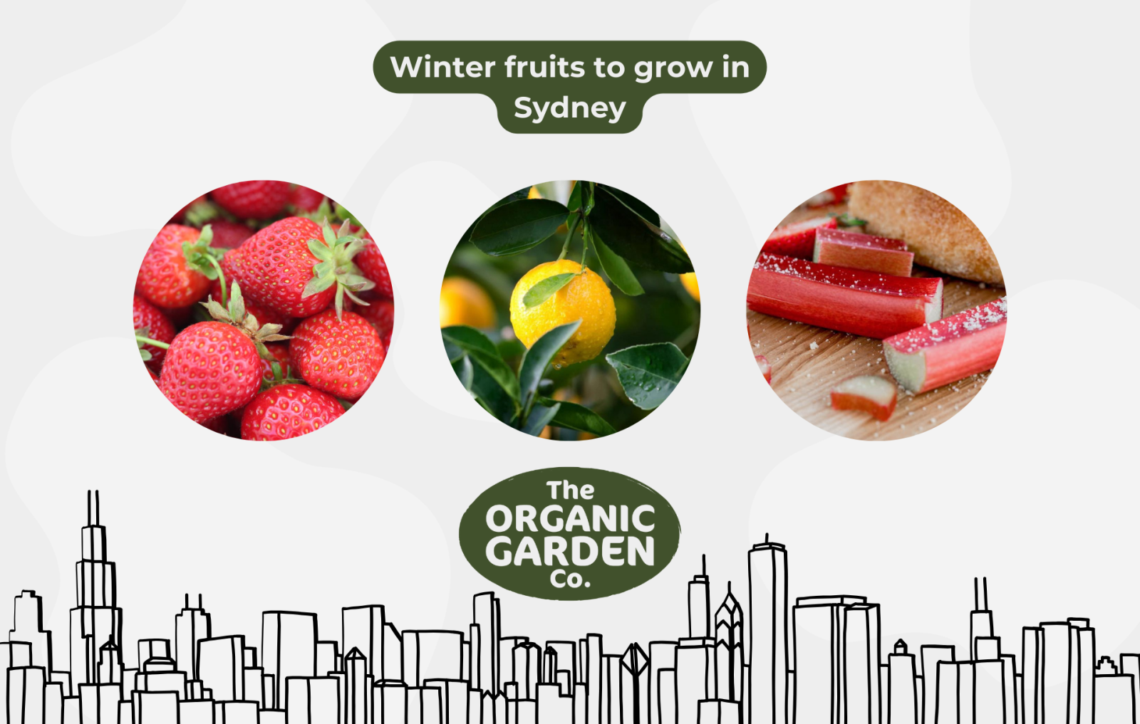 winter fruits in Sydney