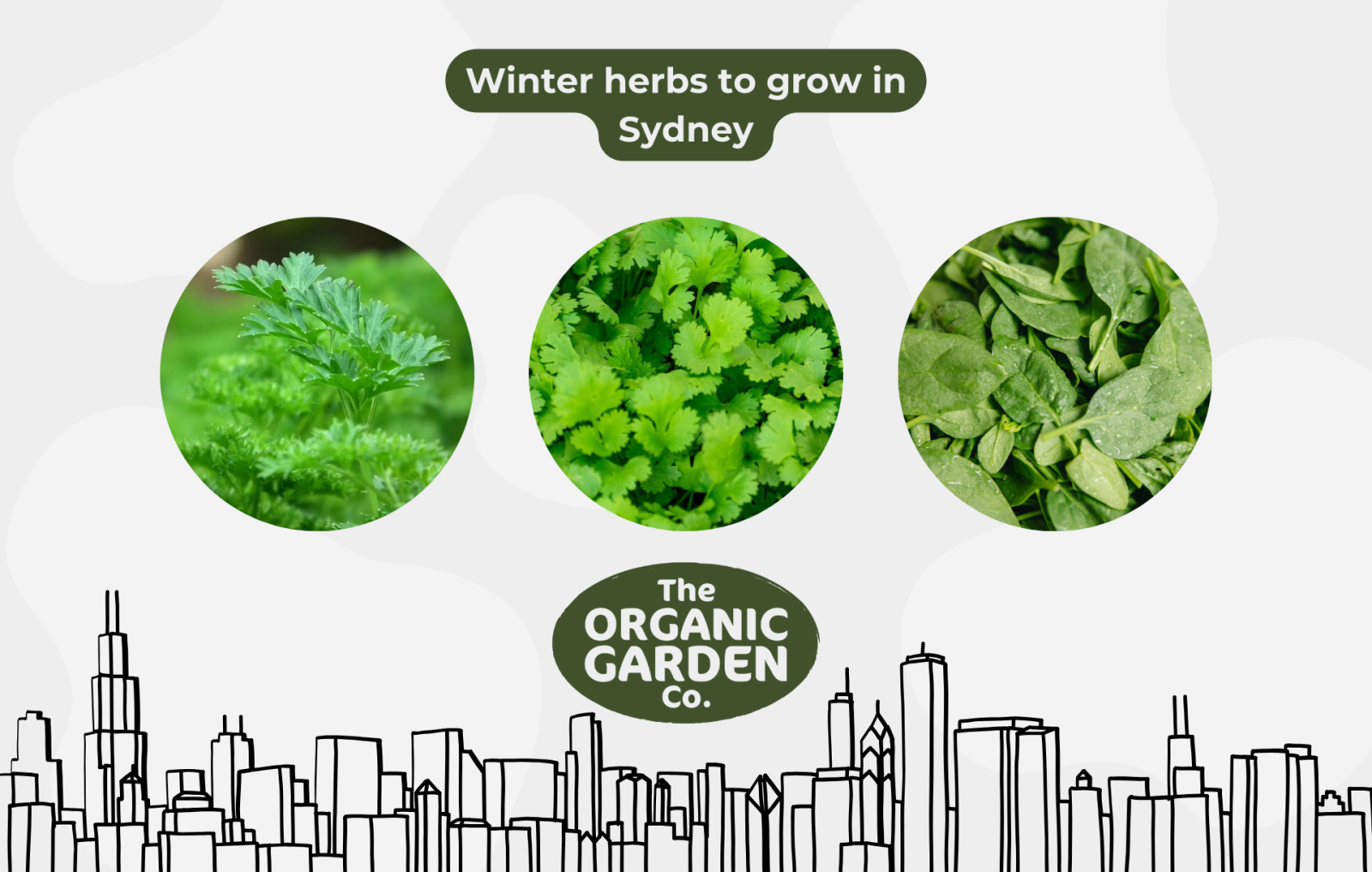 winter herbs in Sydney