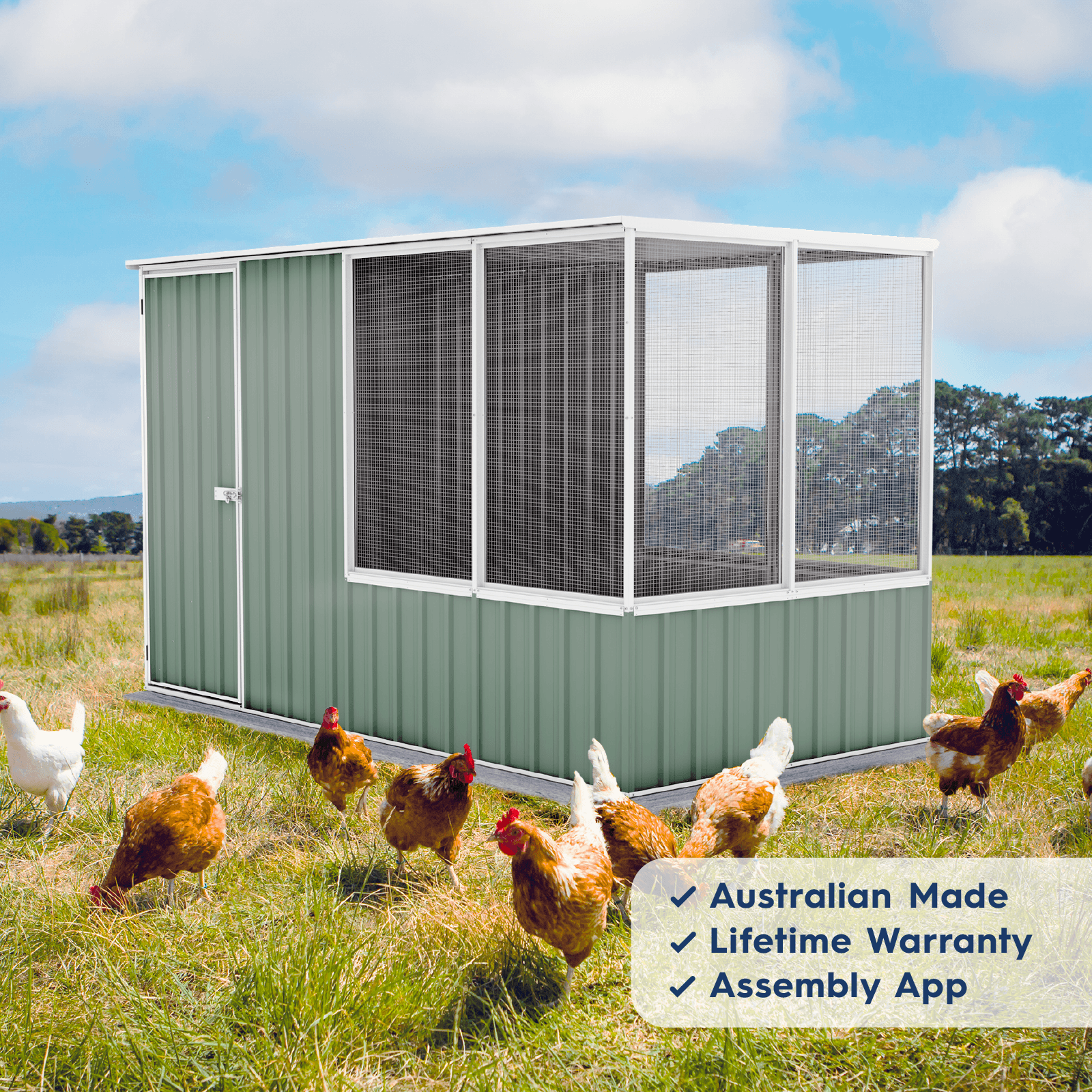 Medium Chicken Coop Zincalume